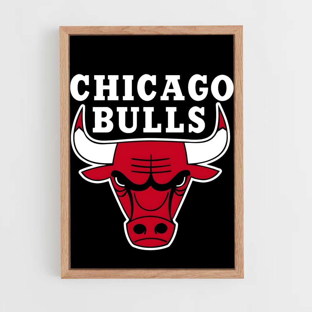 Poster Bulls Power – affiche Basketball (vue 4)